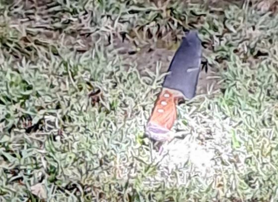 Nož kojim je djevojčica ubola drugaricu u Novom Sadu 