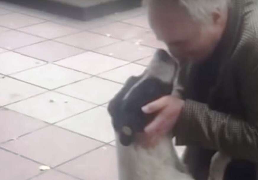 LJUBAV KAO NIJEDNA DRUGA Dirljiv susret psa i njegovog vlasnika nakon 3 godine (VIDEO)