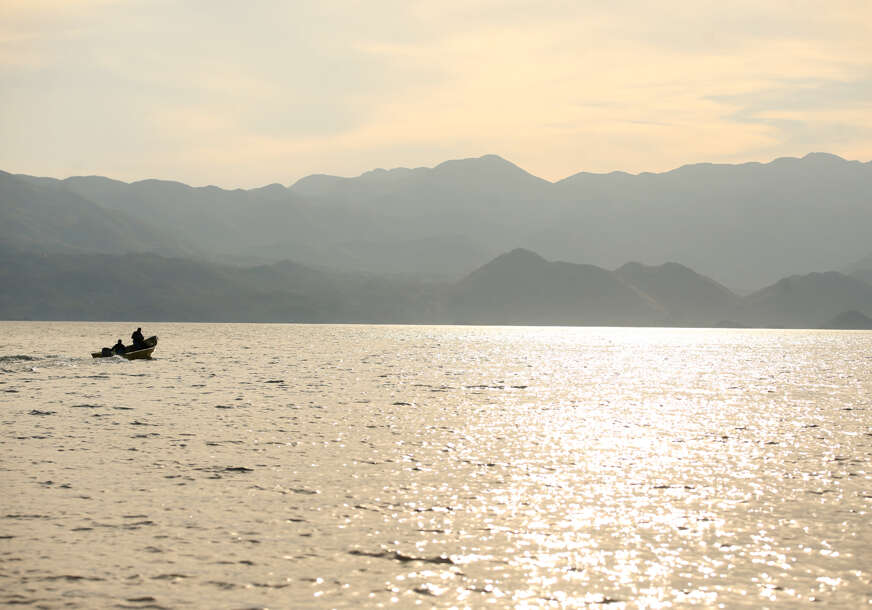 skadarsko jezero , albanija 