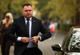 GUBITNIK DANA Željko Budimir
