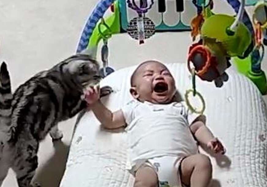 Mačka tješi bebu