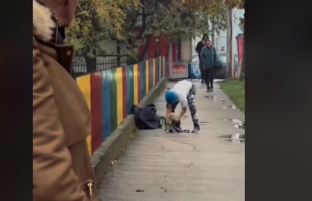 Dječak spasao psa sa ulice