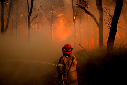 HAOS U AUSTRALIJI Vatrogasci se bore protiv požara koji razbuktava šumski vjetar, građani evakuisani, najmanje 10 kuća uništeno