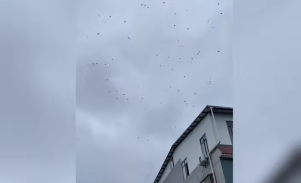 (VIDEO) FILMSKA APOKALIPSA Stotine mrtvih ptica iznenada pale s neba, ljudi u nevjerici