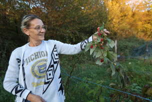 Vesna Bošnjak