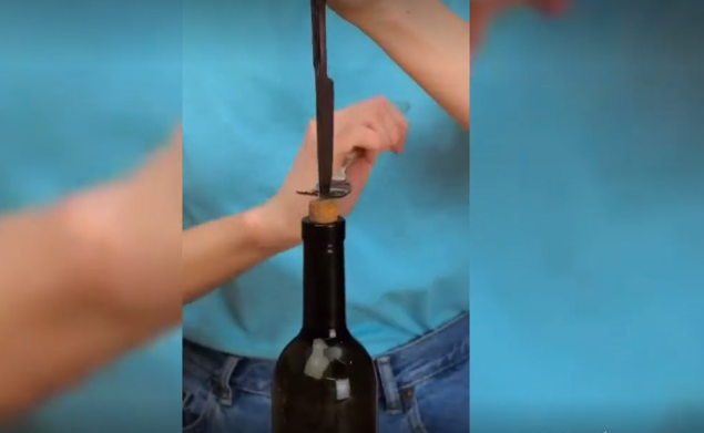 Otvaranje flaše vina
