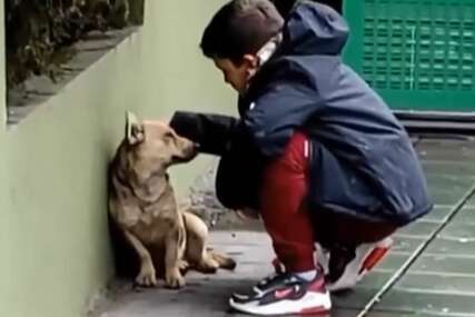PRIZOR KOJI TOPI SRCA Dječak prišao psu na ulici, njegov postupak nikoga nije ostavio ravnodušnim (VIDEO)