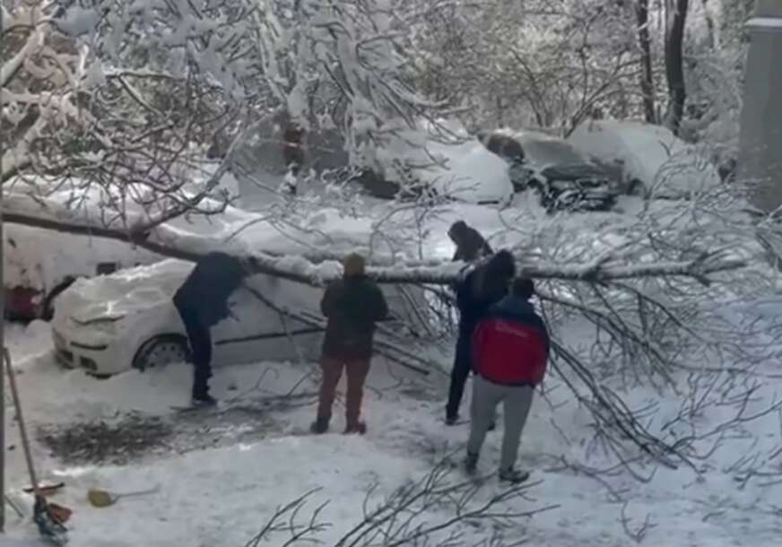 stablo palo na auto, ljudi ga pokušavaju skloniti