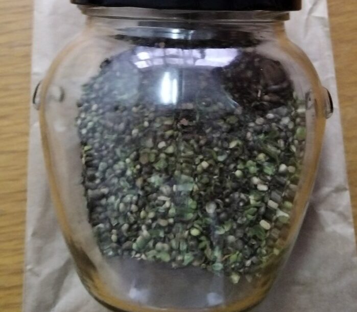 marihuana i sjemenke indijska konoplja