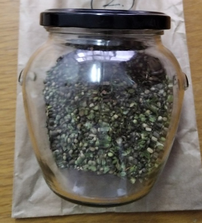 marihuana i sjemenke indijska konoplja