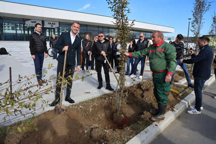 (FOTO) Povodom 15 godina poslovanja: Optima Grupa poklonila 32 sadnice drveća Banjaluci