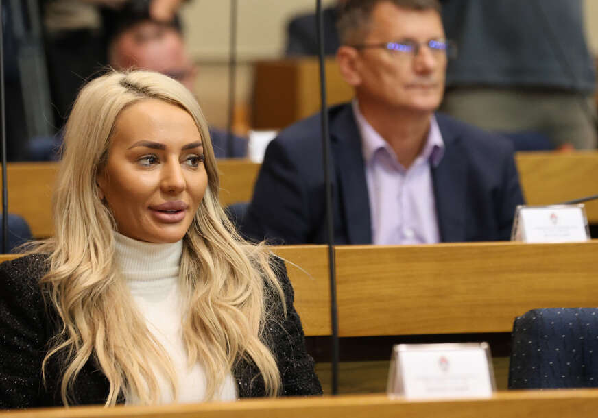 nina šljivić poslanik dns-a