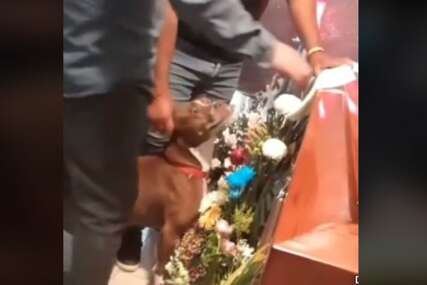 (VIDEO) "I oni su kao ljudi” Pas koji se oprašta od svog vlasnika na sahrani rasplakao mnoge
