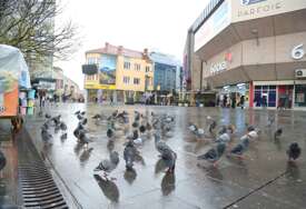 (VIDEO, FOTO) Kišno popodne u Banjaluci: Na Trgu više golubova nego ljudi