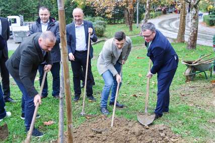 Poklon Banjaluci: Na Starčevici zasađeno medonosno drveće u organizaciji Udruženja Udas