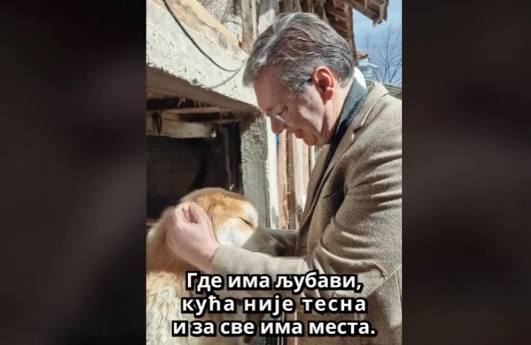 Vučić obišao psa Rundova u azilu