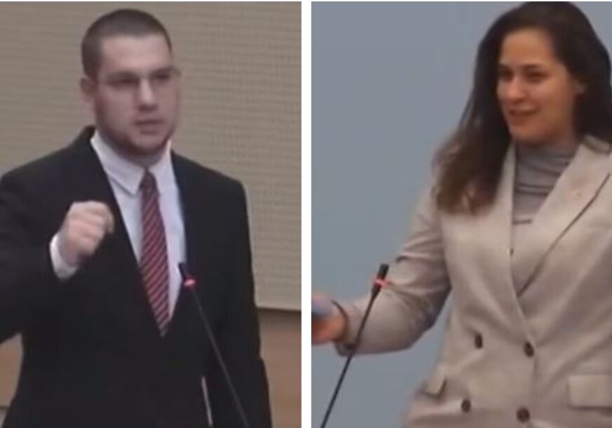 Rasprava Anje Ljubojević i Đorđa Vučinića