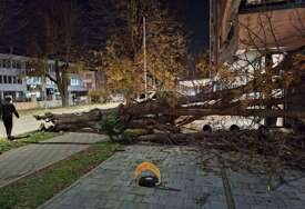 (FOTO) VJETAR RUŠI STABLA U Banjaluci palo drvo nasred trotoara, građanima bolje da ostanu kod kuće