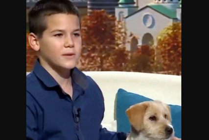 (VIDEO, FOTO) “Rekao sam da je moj, bez da sam bilo koga pitao” Dječak Lazar (12) je sve oduševio svojim postupkom, kada je na ulici umotao štene