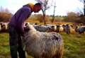Mladić Šaban drži ovcu