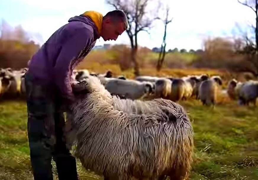 Mladić Šaban drži ovcu