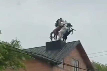 Konji na kućama, Srbija