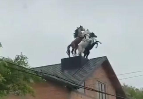 Konji na kućama, Srbija