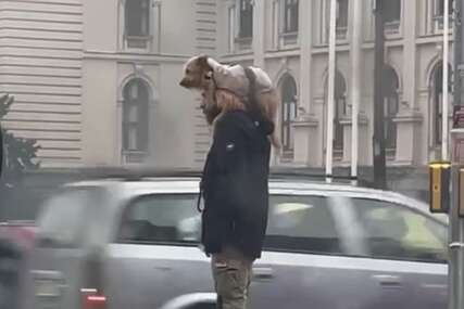 (VIDEO) Prizor je rastopio mnoga srca: Kiša pljušti, a na semaforu ovako stoje gazda i njegov pas