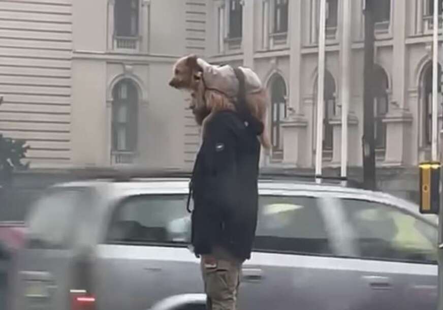 Pas i gazda na kiši u Beogradu