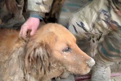 Spasavanje psa ispod ruševina u Kini