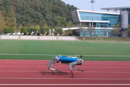 Robo-pas postavlja novi svjetski rekord na 100 metara 
