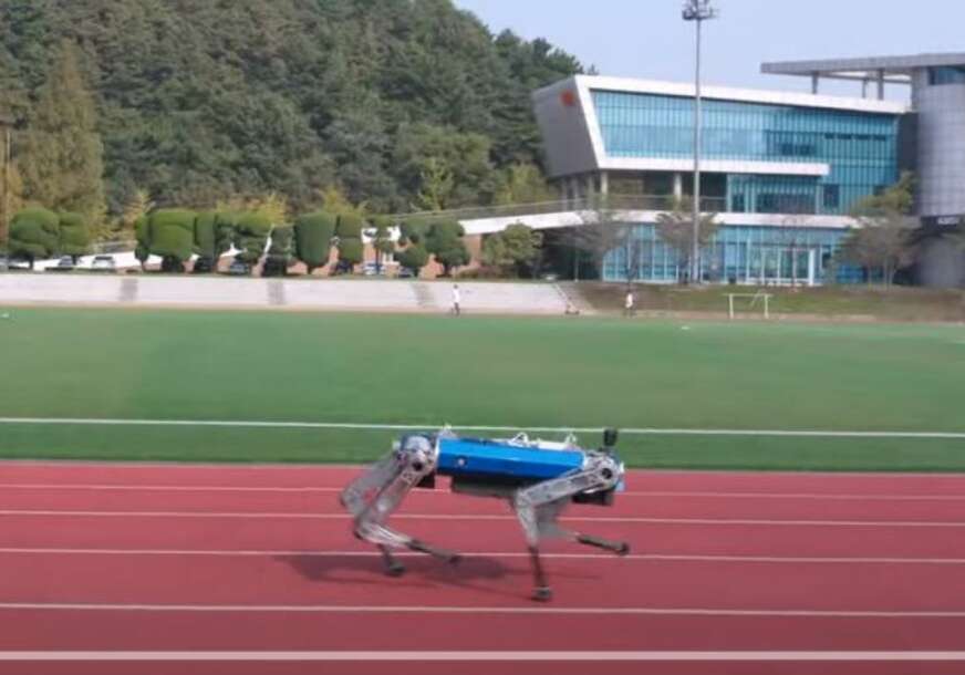 Robo-pas postavlja novi svjetski rekord na 100 metara 