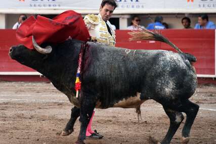 (FOTO) "KORIDA SE VRAĆA" Meksiko nakon zabrane ponovo održava borbe sa bikovima, najveća svjetska arena najavila festival