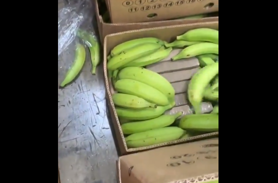 Droga skrivena u bananama