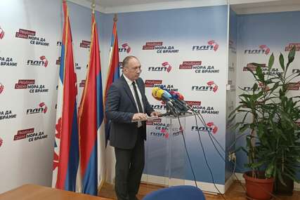 "Lažni patriotizam" Crnadak tvrdi da Srpska ne mora braniti imovinu od Amerike i Njemačke nego od SNSD