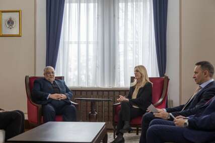 Upoznala ga sa pozicijom i stavovima Srpske: Cvijanovićeva razgovarala sa novim ambasadorom Irana u BiH