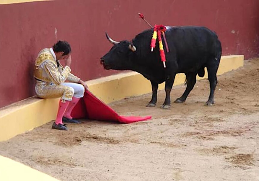 matador sjedi pred bikom na koridi (desplante)