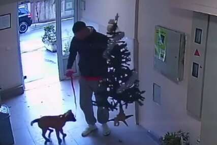 (VIDEO) "Kako su neki ljudi jadni i bijedni" Mladić šetao psa, a kada je ušao u zgradu kamere otkrile SRAMAN ČIN