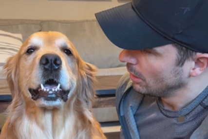 (VIDEO) "Tvoji psi me ispunjavaju srećom" Vlasnik naučio zlatnu retriverku da se smije kada dobije naredbu
