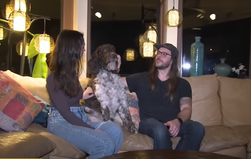 (VIDEO) Pojeo pare sačuvane za radove u kući: Pas raskomadao 4.000 dolara koje pronašao u kuhinji