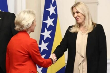 (FOTO) Cvijanović: Nadamo se da OHR i pojedine ambasade neće pokvariti domaći dogovor
