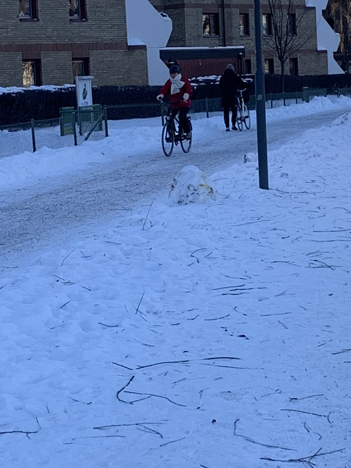 FOTO: USTUPLJENA FOTOGRAFIJA