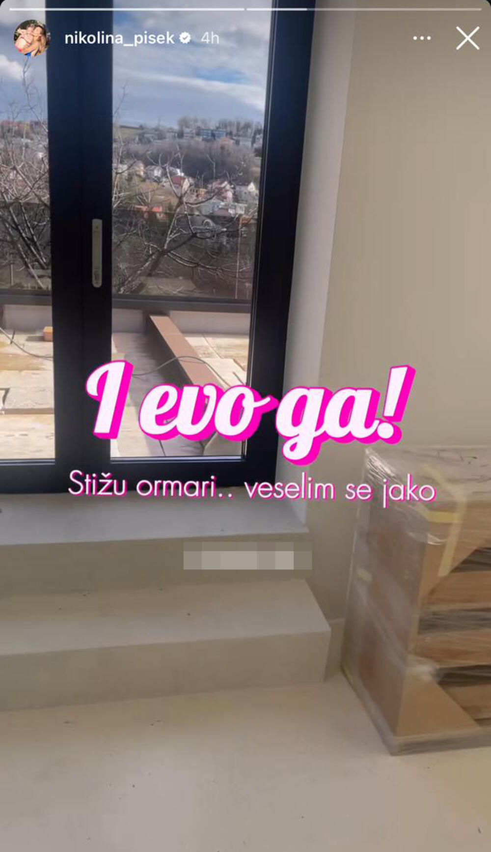 Uređivanje doma Nikoline Pišek