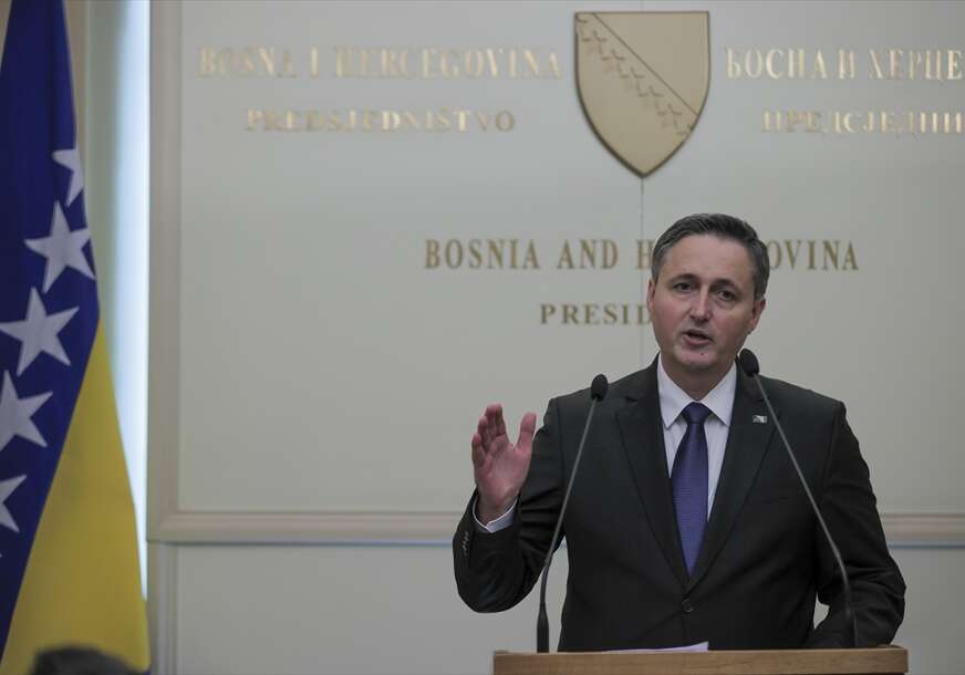 denis bećirović
