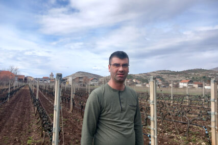 "Hercegovina ima plodno tlo za razvoj vinove loze" Predić tvrdi da je REZIDBA najznačajnija za kvalitetno grožđe