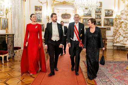 (FOTO) Prva dama Crne Gore oduševila na balu u Beču: Pojavila se u predivnoj crvenoj haljini, broš u obliku ruke ima POSEBNU SIMBOLIKU