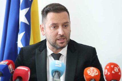 Direktor IDDEEA Almir Badnjević