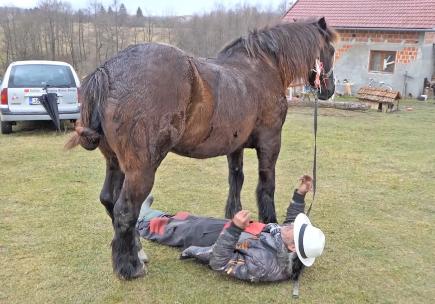 Ivica Marinčić leži ispod konja