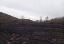 (FOTO) "Požarište okruženo sa svih strana" Zaustavljeno širenje vatre u Gornjem Detlaku kod Dervente