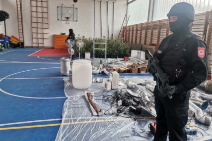 (FOTO) POLICIJSKA AKCIJA U BIJELJINI Zaplijenjena laboratorija skanka i 270 stabljika konoplje, UHAPŠENI OSUMNJIČENI